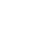 logo-vipservice